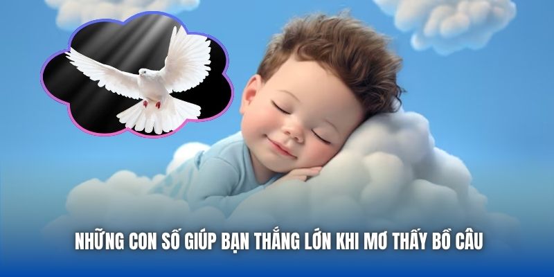 Những con số giúp bạn thắng lớn khi mơ thấy bồ câu