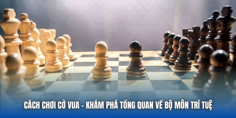 Cách Chơi Cờ Vua - Khám Phá Tổng Quan Về Bộ Môn Trí Tuệ