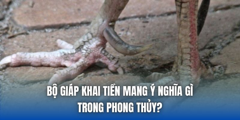 Bộ giáp khai tiền mang ý nghĩa gì trong phong thủy?
