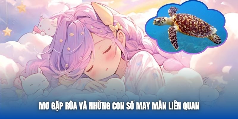 Mơ gặp rùa và những con số may mắn liên quan