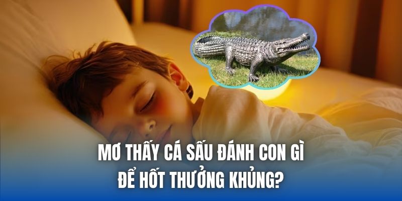 Mơ Thấy Cá Sấu Đánh Con Gì Để Hốt Thưởng Khủng?