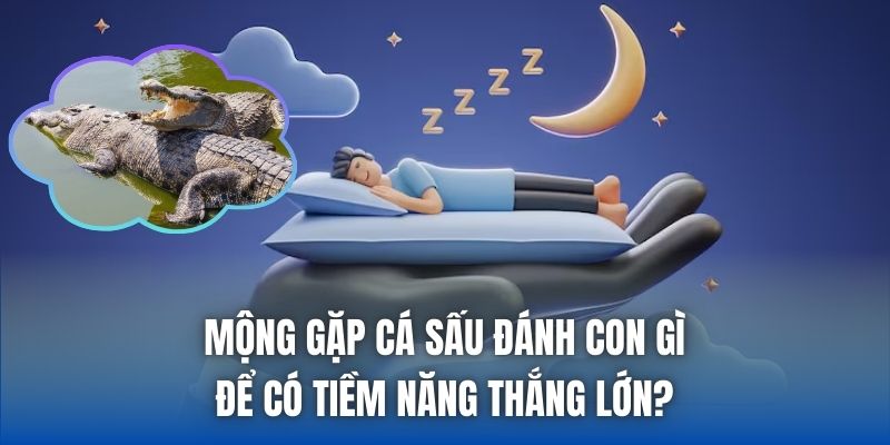 Mộng gặp cá sấu đánh con gì để có tiềm năng thắng lớn?
